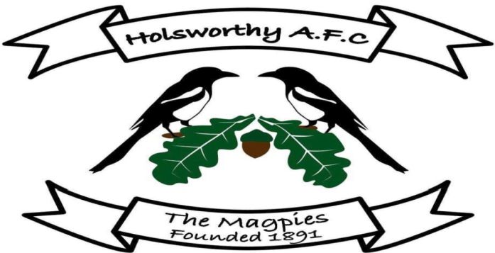 Manager Quits Holsworthy After Six Years in Charge