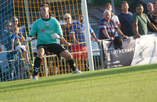 Dolphins Bring Keeper Back