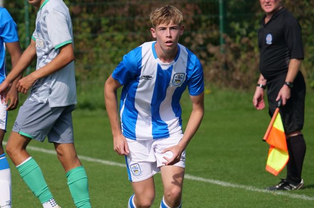 Sedge Borrow Pair of Young Terriers